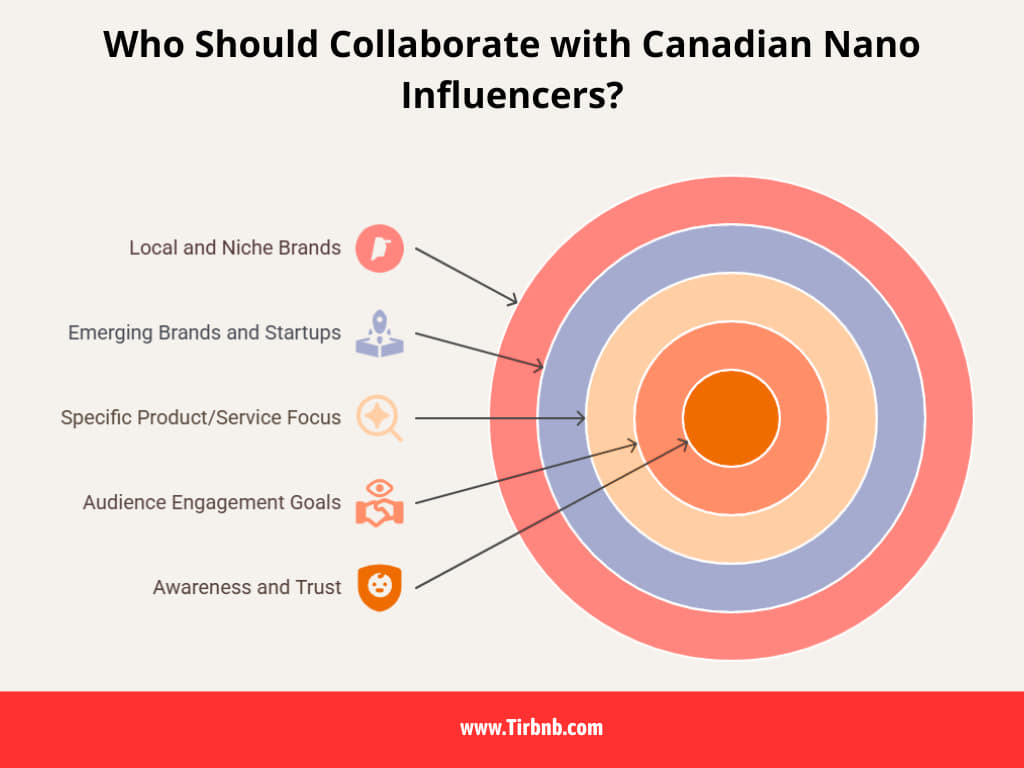 Who Should Collaborate with Canadian Nano Influencers