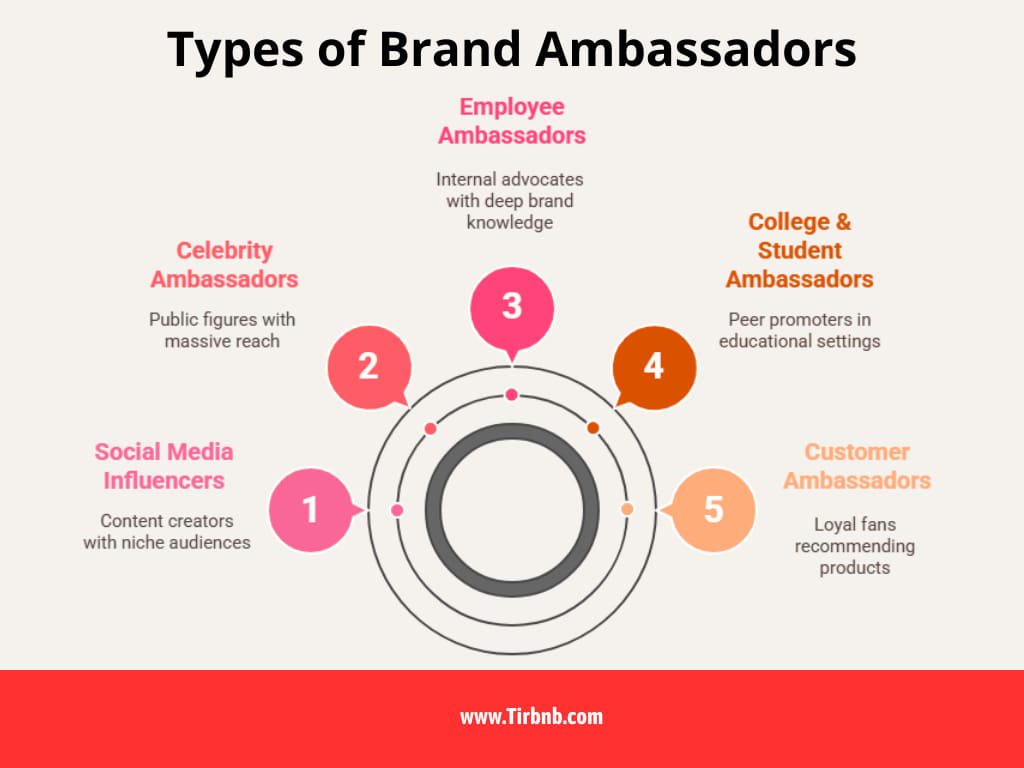 Types of Brand Ambassadors